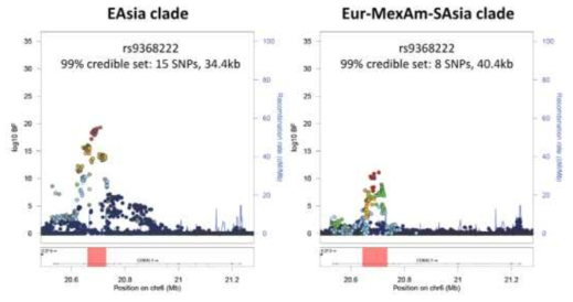 CDKAL1 유전자 부근의 원인 유전자 발굴을 위한 메타 분석 결과