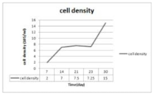 Caco-2 cell 배양 중 cell density 변화