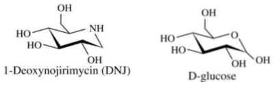 1-DNJ의 chemical properties