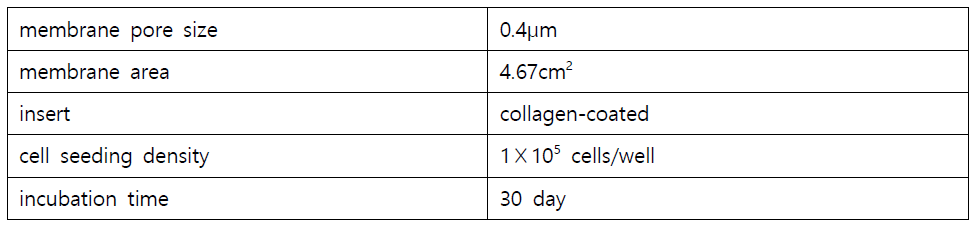 Caco-2 cell monolyaer 조건