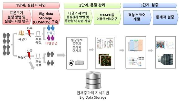 연구 개념도