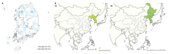 족도리풀분포. A 족도리풀, 털족도리풀의 자생분포지, B(a)족도리풀의 분포지, (b)털족도리풀의 분포지