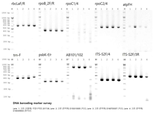 고본 한약재의 DNA barcode marker survey assay