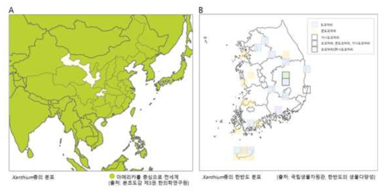 Xanthium종 의 분포