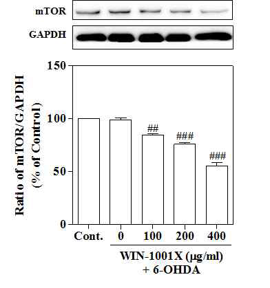 Autophagy 유도 기전 연구