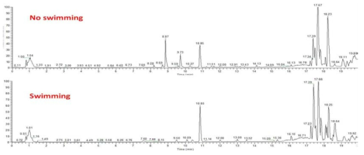 실험군과 대조군의 UPLC-Orbitrap-MS 프로파일링 (Positive mode)