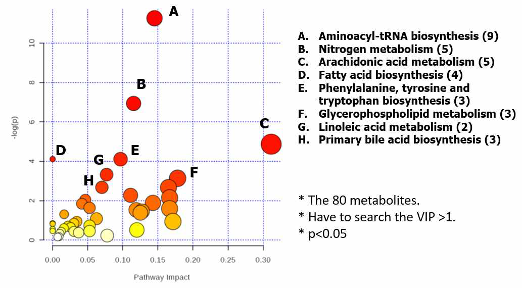 실험군내의 시간에 따라 변화한 대사체와 그와 연관된 대사를 알 수 있는 pathway analysis (organic compound 제외)