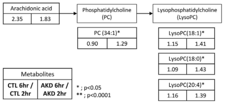 명일엽 투여 후 glycerophospholipids 대사의 변화