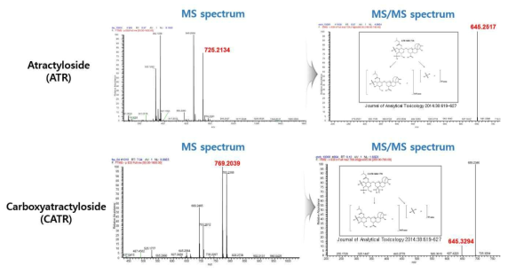 Atractyloside (ATR)와 carboxyatractyloside (CATR)의 MS spectrum과 MS/MS fragmentation pattern