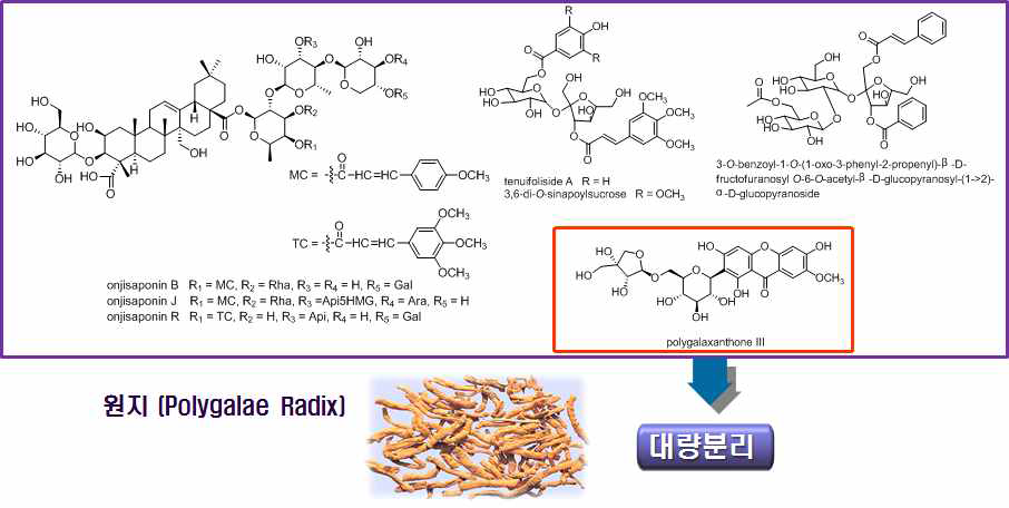 원지로부터 확보한 유효/지표성분