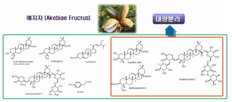 예지자로부터 확보한 유효/지표성분