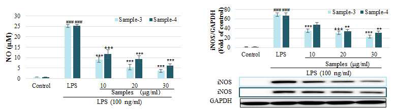 항염증성 표지인자인 NO와 iNOS 억제 효능