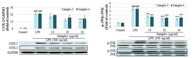 항염증성 표지인자인 COX-2와 p-JNK 억제 효능