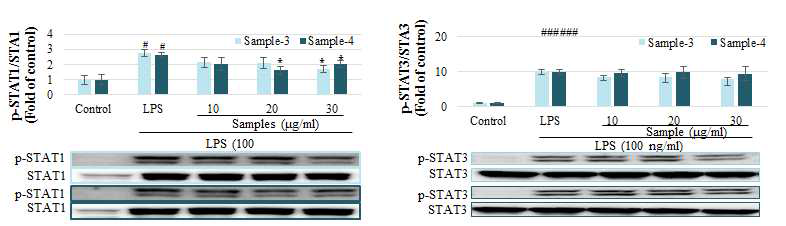 항염증성 표지인자인 p-STAT1와 p-STAT3 억제 효능