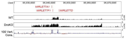 let-7a-1~let-7f-1~let-7d 마이크로RNA 전사체 부근의 RNA 신호를 분석한 그래프