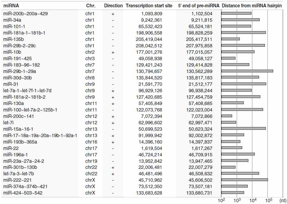 마이크로 RNA들의 전사시작점(5′ 말단 서열) 분석 결과. 전사시작점과, 마이크로RNA 전구체(pre-miRNA) 위치 간의 거리를 계산하여 표시함