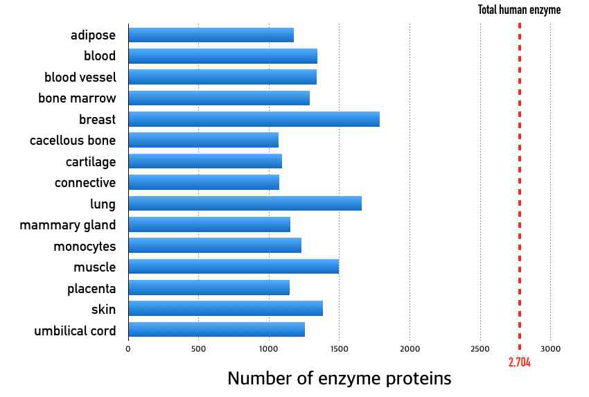 조직별 발현하는 효소 단백질의 숫자