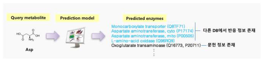 화합물의 효소 반응성 예측 예제: 본 모델을 이용하여 Asp와 반응할 것으로 예측되는 효소 리스트를 얻음. 효소 리스트는 UniProt accession number로 제공함