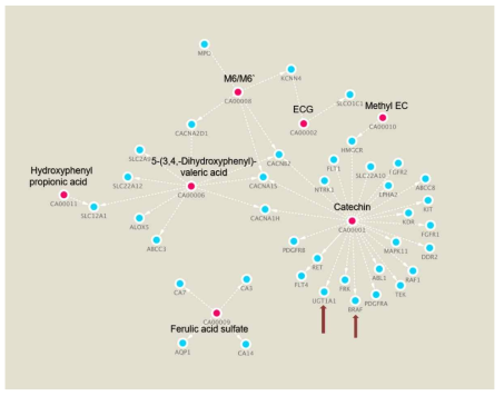 H. sapiens enzyme의 inhibition 모델 network