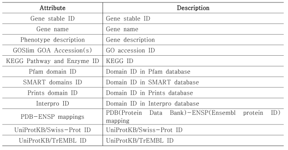 Ensembl 데이터베이스의 schema 정보 및 설명