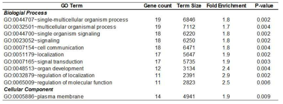 Gene ontology analysis result