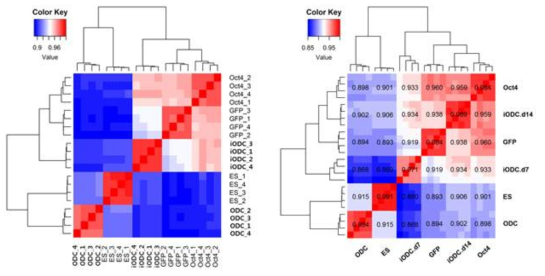 Heat map of pearson correlation of total transcripts between 5(left) and 6(right) groups