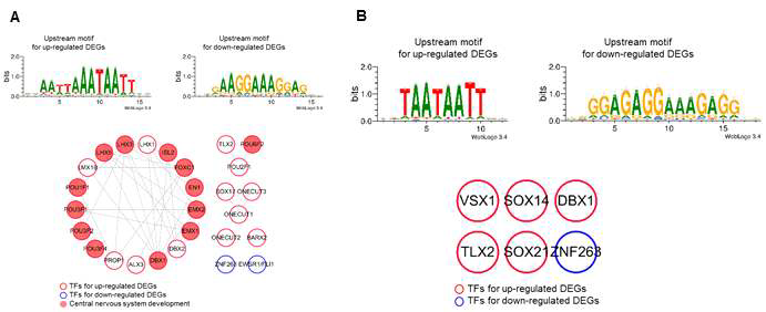 Transcription factor binding motif analysis for up-regulated and down-regulated DEGs in Oct4 compared to GFP (A), in iOPC compared to Oct4 (B)