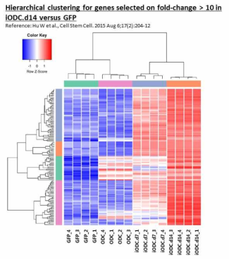 Hierarchical clustering for genes selected on fold-change > 10 in iODC.d14 versus GFP