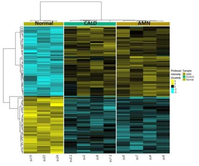 Heatmap of 137 selected probesets