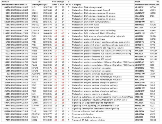 Human X-ALD 마커 후보유전자 및 Yeast orthologs genes