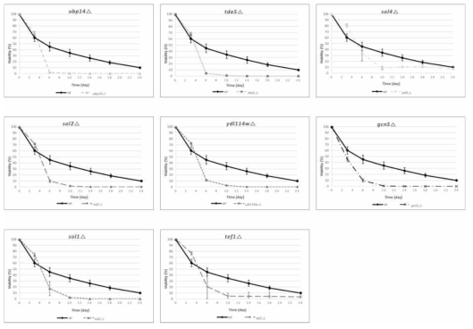 Chronological life span (CLS)가 감소한 유전자 결실 효모 8종