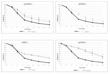 Chronological life span (CLS)가 증가한 유전자 결실 효모 4종