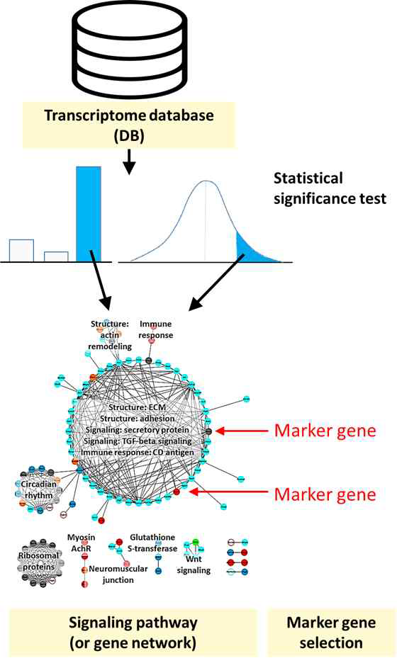 DB 활용 유전자 네트워크 구성 및 마커 유전자 발굴 개념도