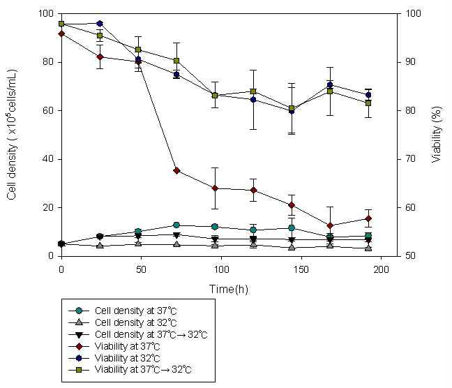 Transfection 후 온도 조건에 따른 세포 농도 및 생존도 (ExpiCHO-S™세포)