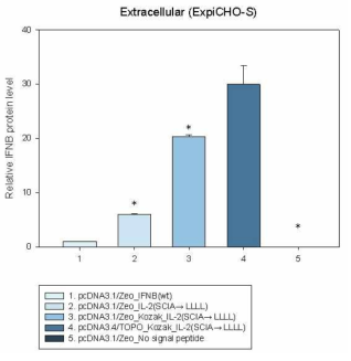 Signal peptide 형태에 따른 interferon-beta 생산량 (ExpiCHO-S™)