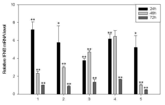 Signal peptide 형태에 따른 mRNA 수준 비교 (ExpiCHO-S™)