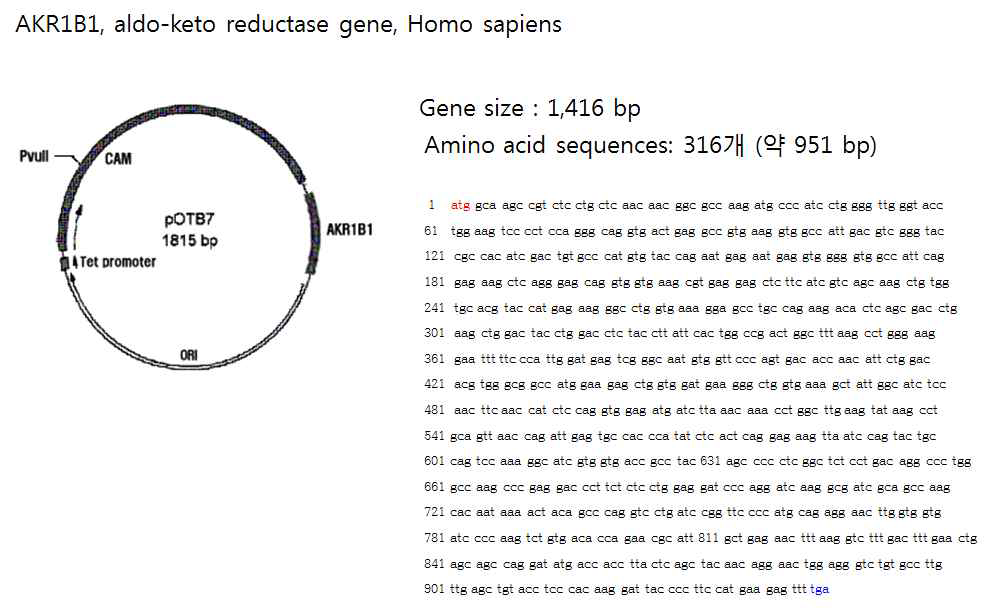 AKR1B1, aldo-keto reductase 유전자 ORF