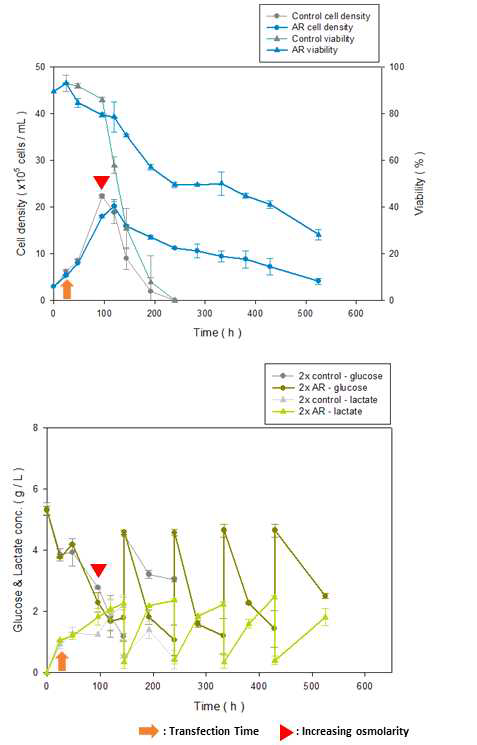 고삼투압 배지에서의 AR transfected HEK293F 세포의 성장곡선과 metabolism