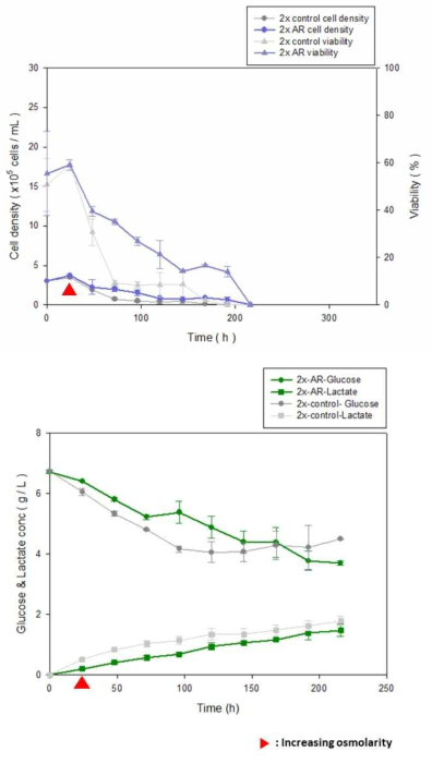 고삼투압 배지에서의 AR transfected ExpiCHO-S™ 세포의 성장곡선과 metabolism