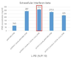 signal peptide 형태에 따른 interferon-beta 생산량 (ExpiCHO-S™, PEI)