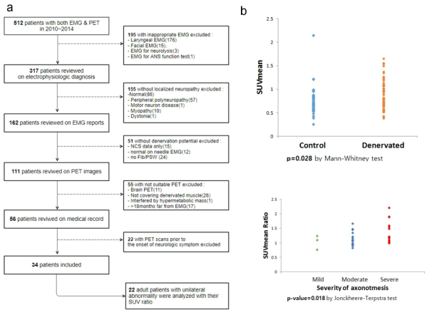 사람에게서 탈신경근육의 포도당 대사증진현상을 확인하기 위한 후향적 연구 (a) 연구 프로토콜. 총 512명의 환자를 스크린하고 이중 22명의 환자를 선별하여 분석함. (b) 근전도상 확인된 탈신경 근육에서 대조근육에 비해 유의미한 신호증가가 관찰되고 근전도 판독상 심한 축삭 손상일수록 FDG-PET에서의 신호가 올라감