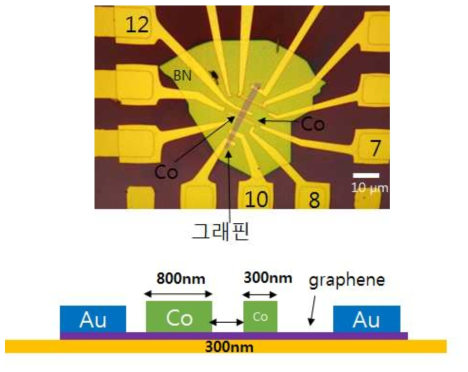 그래핀/자성층 스핀밸브 소자의 광학현미경 사진 및 측면 모식도