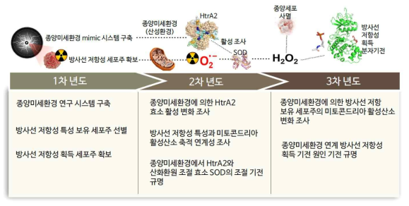 연차별 연구 목표 모식도