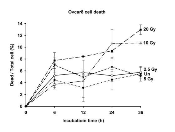 난소암 세포주 (OVCAR-8)의 γ-radiation Gy별 사멸 세포수