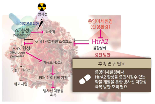 후속 연구 필요 모식도