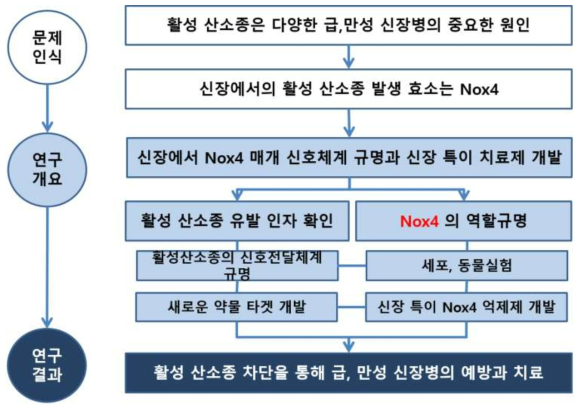 연구의 개요