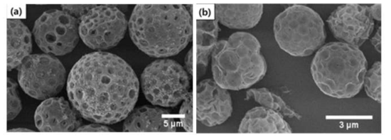 아세트산으로 세척하기 전(a)과 후(b)의 SPS / PMMA 다공성 입자에 대한 형태 변화의 SEM 이미지