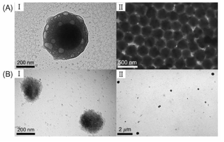 (A) pH 7.4에서 실리카@HA-CA 입자들, (B) 실리카 코어 제거 후의 할로우 HA-CA 입자들의 Bio-TEM 이미지