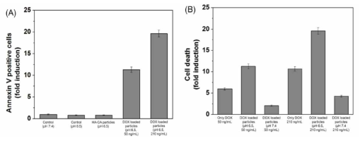 FACS 분석법을 이용하여 Annexin V 와 프로피디움 요오드화물 염색 후에 세포 사율을 측정. 유방암 세포들은 (A) pH 7.5 컨트롤, pH 6.5 컨트롤, pH 6.5에서 HA-CA 입 자들, pH 6.5에서 DOX 적재된 HA-CA 입자들과 함께 처리되었다. (B) pH 6.5와 pH 7.4에서 순수한 DOX와 서로 다른 농도의 DOX를 처리한 후 세포사율 비교