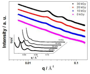 감마선 조사에 의한 PEO 하이드로겔 필름의 SAXS 패턴
